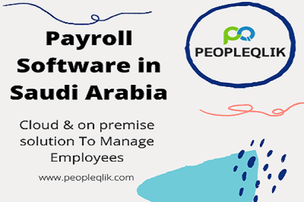 Why utilization of Payroll Software in Saudi Arabia is important for companies?