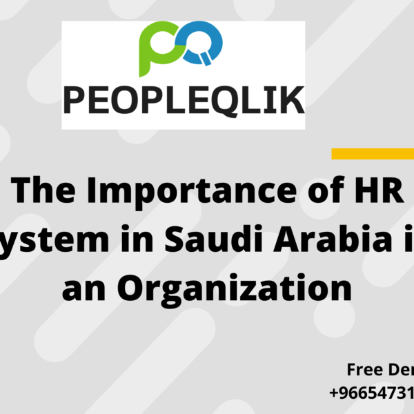 The Importance of HR System in Saudi Arabia in an Organization