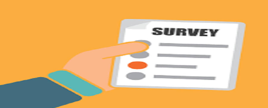 Does Conducting A Consumer Survey With Survey software in Pakistan